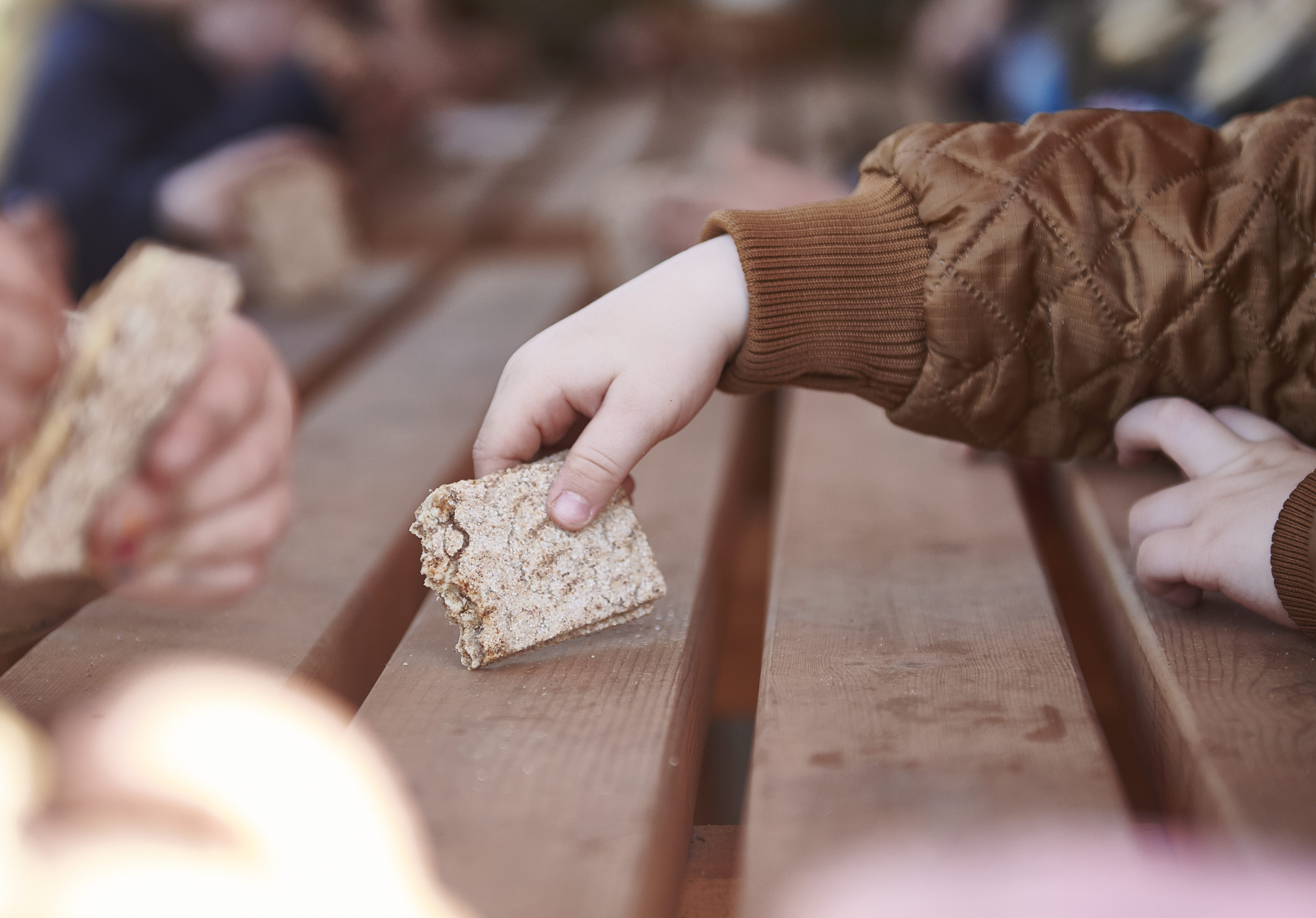 Hvorfor spiser man vegetarisk mad i steinerinstitutioner?